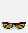Bottega Veneta Classic Cat Eye Sunglasses In Brown