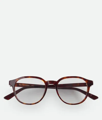 Bottega Veneta Classic Panthos Sonnenbrille In Havana/transparent
