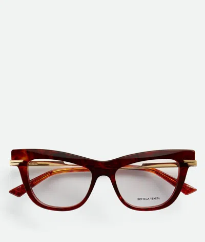 Bottega Veneta Classic Recycled Acetate Cat Eye Brille In Havana/transparent
