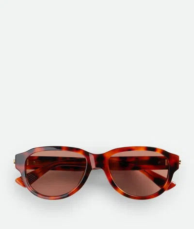Bottega Veneta Classic Aviator Sunglasses In Neutral