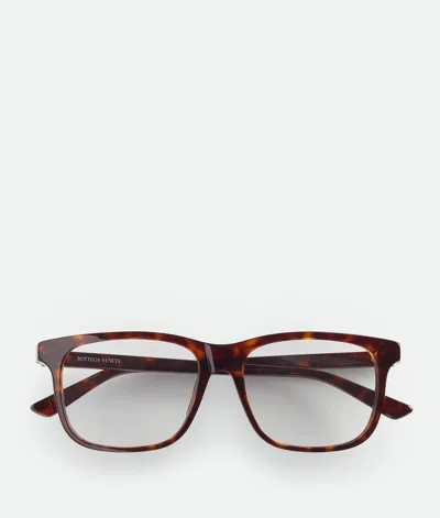 Bottega Veneta Classic Square Eyeglasses In Brown