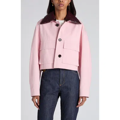 Bottega Veneta Cotton Twill Crop Jacket With Removable Intrecciato Leather Collar In Pink
