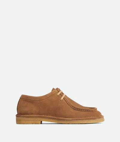 Bottega Veneta Daddy Lace-up Shoe In Brown