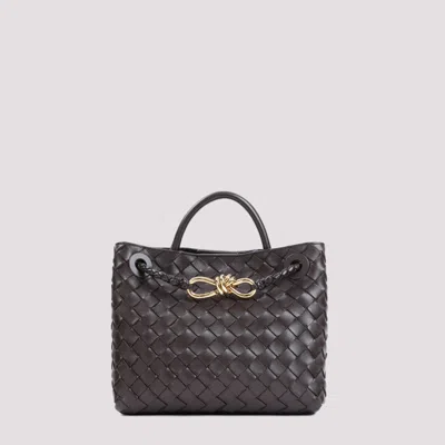 Bottega Veneta Dark Brown Andiamo Small Bag