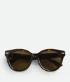 Bottega Veneta Full Frame Sunglasses In Havana/brown