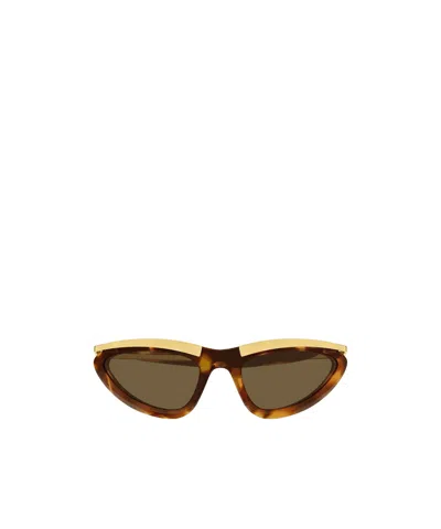 Bottega Veneta Eyewear Prisma Cat Eye Sunglasses In Brown