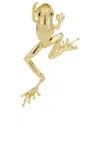 Bottega Veneta Small Frog Brooch In Yellow Gold