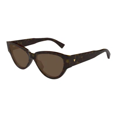 Bottega Veneta Havana Acetate Sunglasses