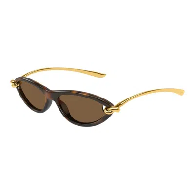 Bottega Veneta Havana-gold-brown Injectate Sunglasses