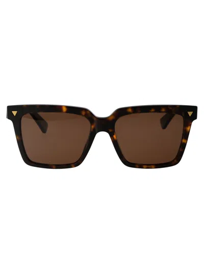 Bottega Veneta Havana Havana Brown Acetate Sunglasses