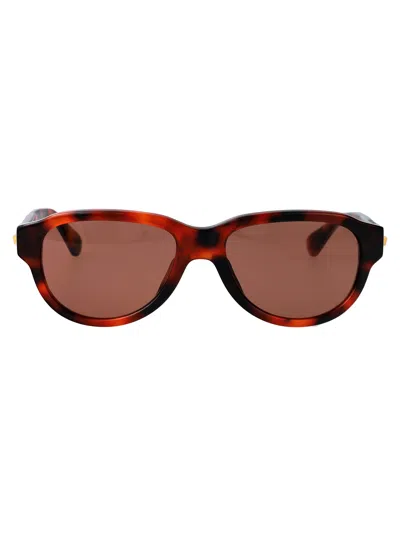 Bottega Veneta Havana-havana-red Recycled Acetate Sunglasses In Brown
