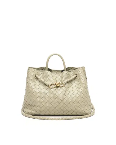 Bottega Veneta Intrecciato Medium Andiamo Bag In Neutral