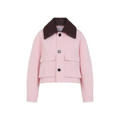 Bottega Veneta Jackets Pink & Purple