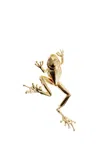 Bottega Veneta Small Frog Brooch In Multicolor