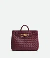 Bottega Veneta Andiamo Small Leather Top-handle Bag In Barolo