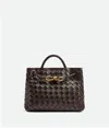 Bottega Veneta Kleine Andiamo In Brown