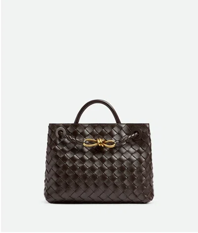 Bottega Veneta Kleine Andiamo In Brown