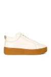 Bottega Veneta Lace Up Sneakers In Sea Salt