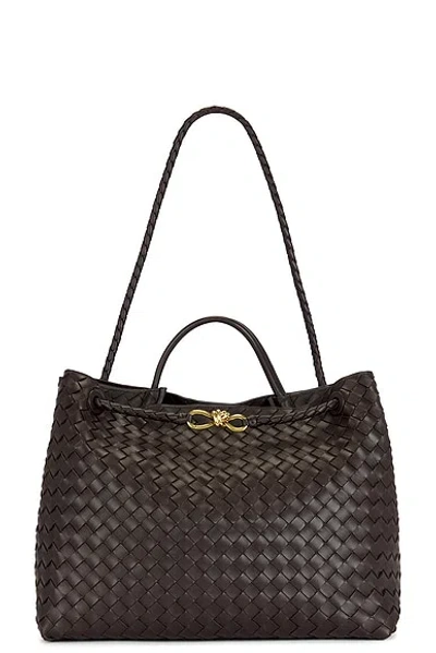 Bottega Veneta Large Andiamo Bag In Fondant & Muse Brass
