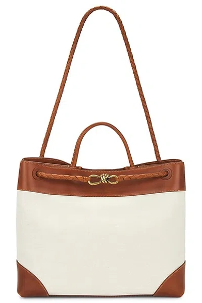 Bottega Veneta Andiamo Large Leather-trimmed Canvas Tote Bag In Brown