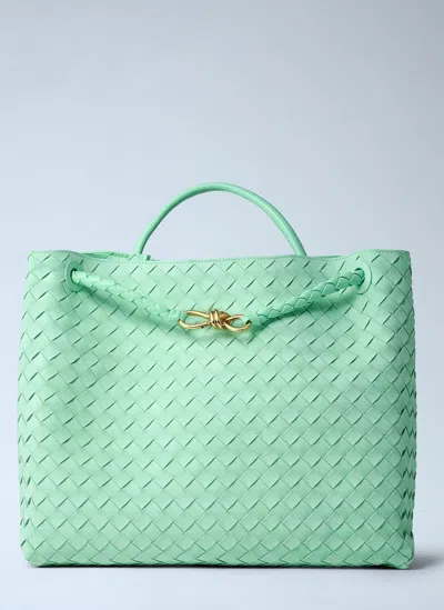 BOTTEGA VENETA LARGE ANDIAMO HANDBAG