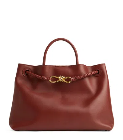 Bottega Veneta Leather Andiamo Top-handle Bag In 6545 Rosewood/space-
