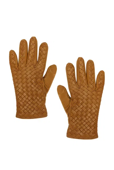 Bottega Veneta Leather Gloves In Acorn