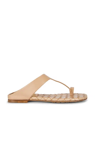 Bottega Veneta Livia Flat Thong Sandal In Shore