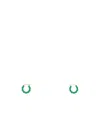 Bottega Veneta Logo Earring In Green