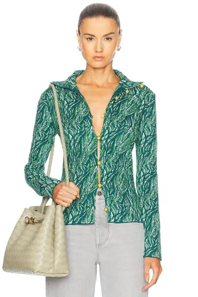 Bottega Veneta Long Sleeve Cardigan In Aqua  Lizard  & Green