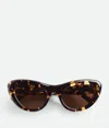 Bottega Veneta Bombe Cat Eye Sonnenbrille In Havana/brown