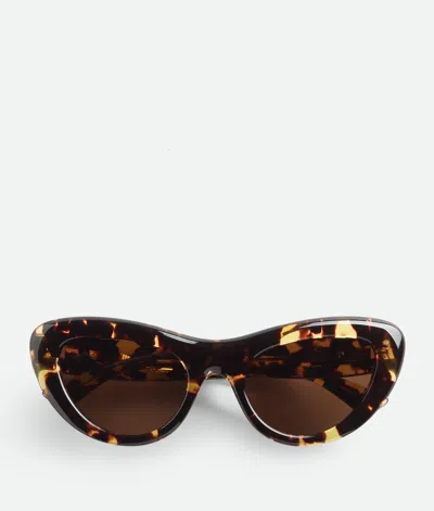 Bottega Veneta Bombe Cat Eye Sonnenbrille In Havana/brown