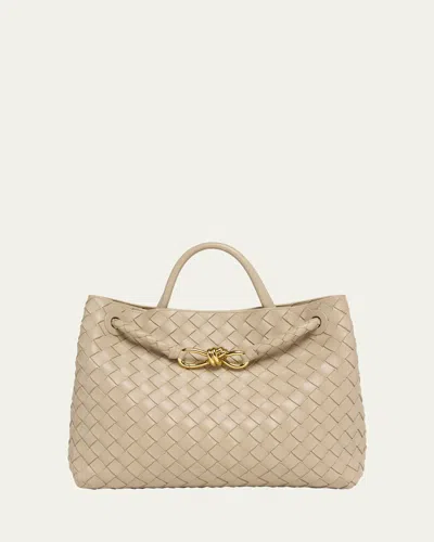 Bottega Veneta Medium Andiamo Bag In Neutral