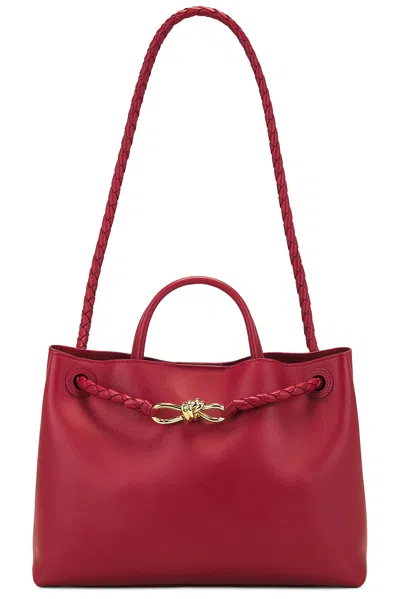 Bottega Veneta Medium Andiamo Bag In Rosewood/space-mb