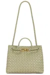 Bottega Veneta Medium Andiamo In Green