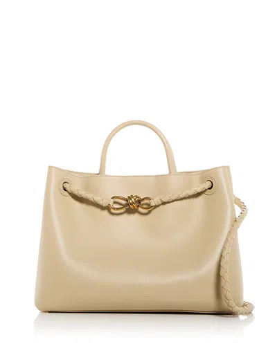 BOTTEGA VENETA MEDIUM ANDIAMO LEATHER TOP HANDLE BAG
