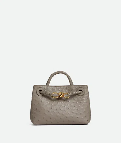 Bottega Veneta Mini Andiamo
