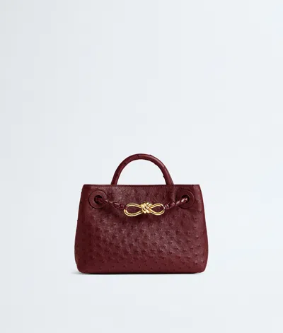 Bottega Veneta Bottega  Veneta Mini Andiamo In Burgundy