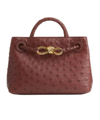 Bottega Veneta Mini Andiamo In Sapele
