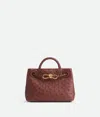 Bottega Veneta Mini Andiamo In Sapele