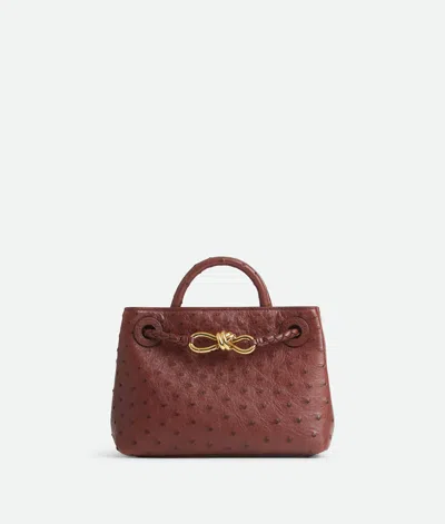Bottega Veneta Mini Andiamo In Sapele