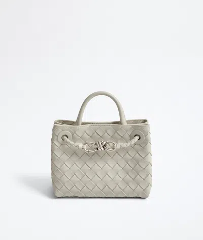 Bottega Veneta Mini Andiamo In Silica Grey