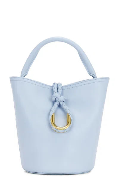 Bottega Veneta Mini Liberta Bucket Bag In 1441 Lunar-m Brass