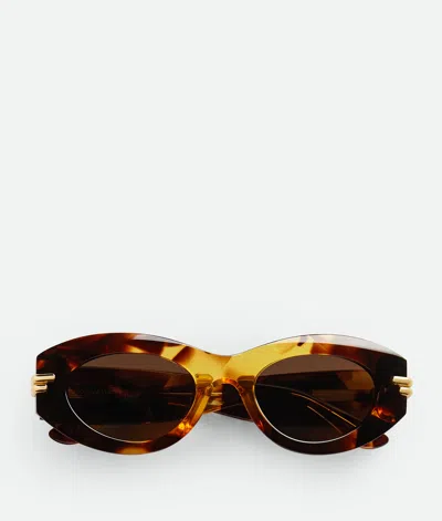 Bottega Veneta Ovale Mitre Sonnenbrille In Havana/brown