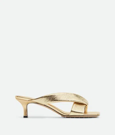 Bottega Veneta Riva Mule In Multi