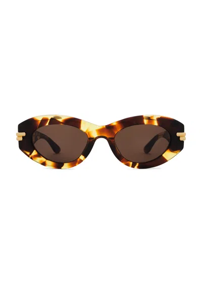 Bottega Veneta Havana Cat-eye Sunglasses In Brown