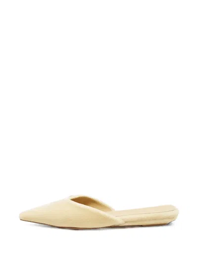 Pre-owned Bottega Veneta Pointed-toe Velvet Mules In Neutral