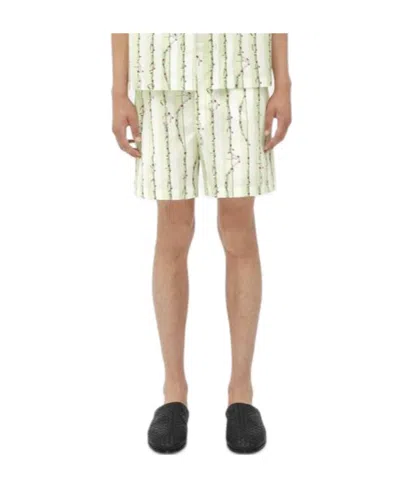 Bottega Veneta Printed Striped Shorts In Green