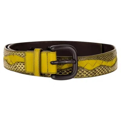 Pre-owned Bottega Veneta Python Skin & Leather Belt In Brown