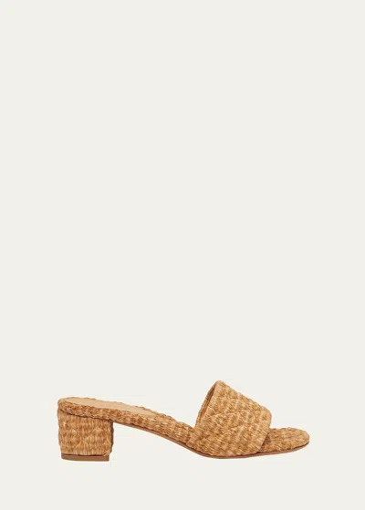 Bottega Veneta Raffia Block-heel Slide Sandals In Spelt